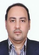 Ahmed E. Youseff