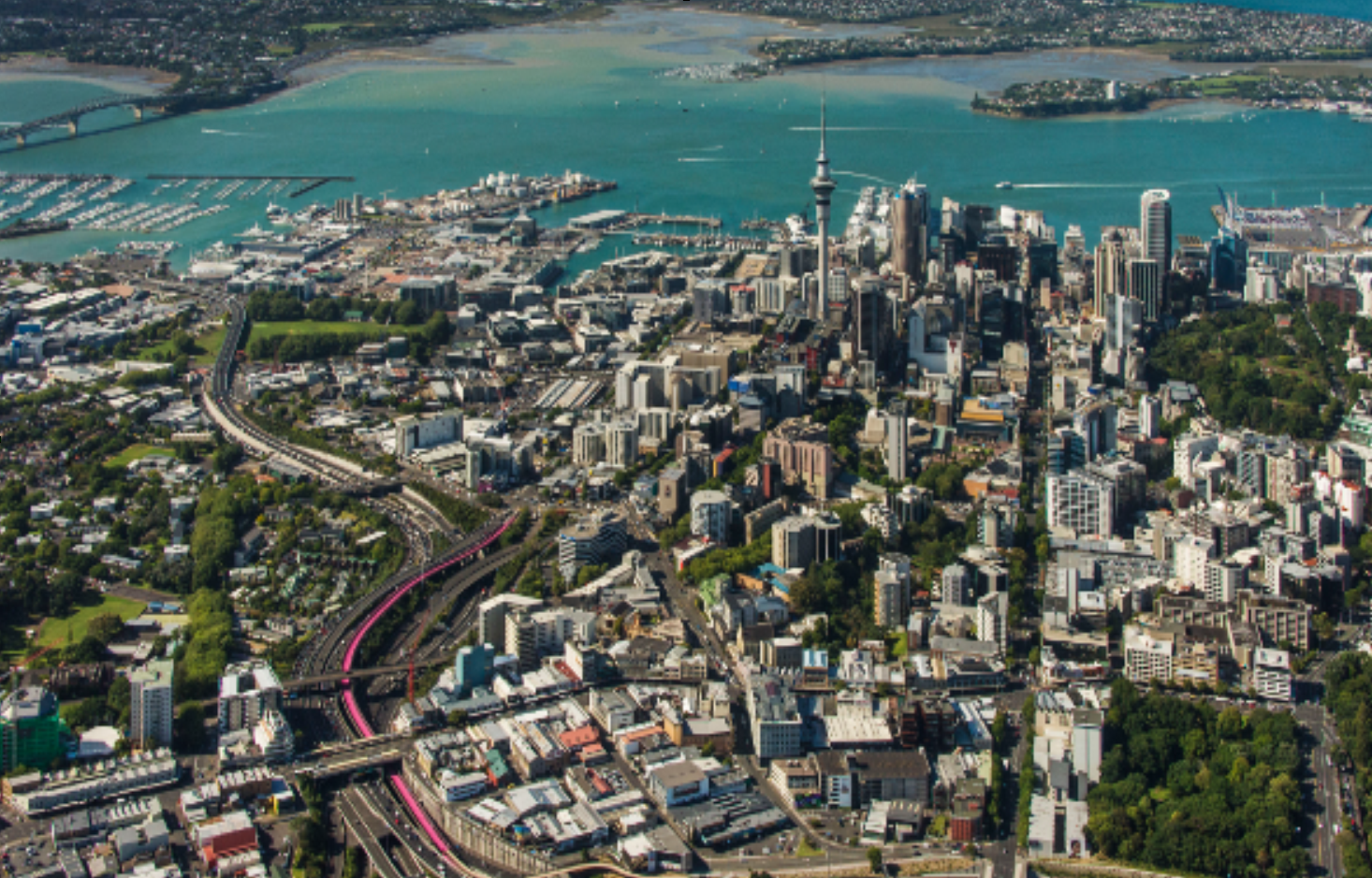 Auckland 7 16 Nov 2024 O45 O50 M W O55M O60M O55W To O70W Plus   2024 Auckland 