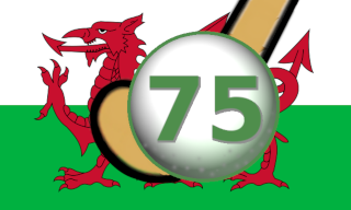 4 nations wales